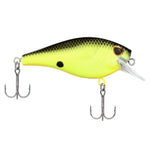 Berkley Squarebull 3.5