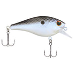 Berkley Squarebull 3.5