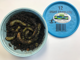 Night Crawlers
